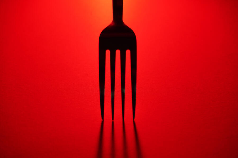 Food photography